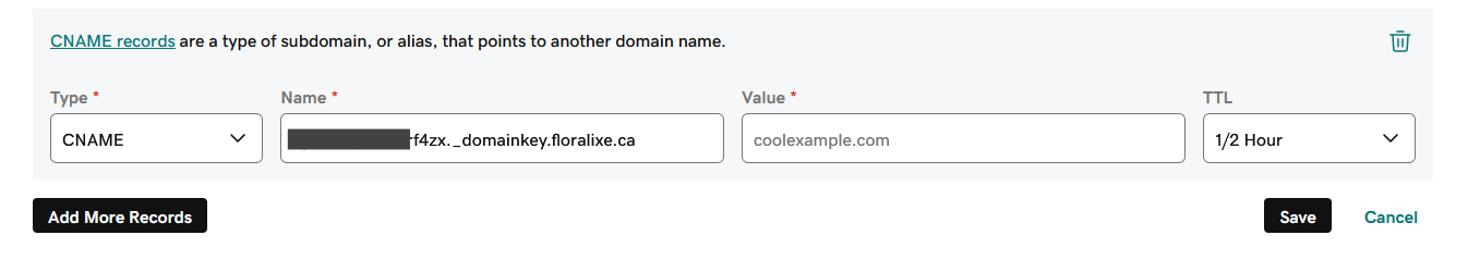 Enter the CNAME name in GoDaddy